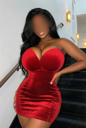 Trina Garcia | Your newest addiction